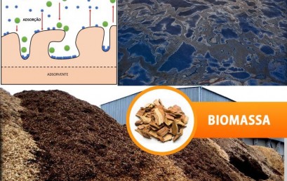 Avaliação de Biomassas como adsorventes para remoção de contaminantes, derivados do Petróleo, em efluentes aquosos