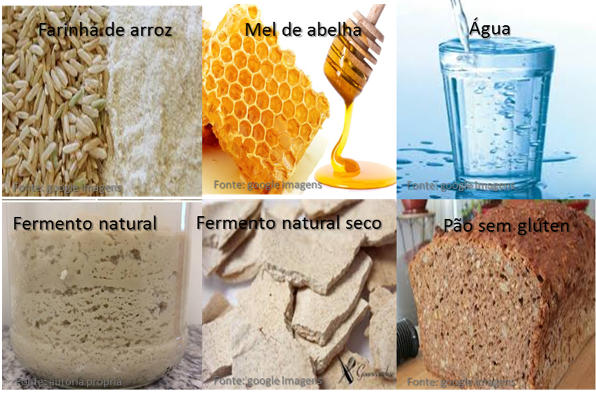 Desenvolvimento de Fermento Natural Orgânico livre de Glúten a base de mel como fonte Glicídica