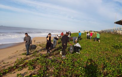 Universitários realizam limpeza de praia no Dia Mundial dos Oceanos                          